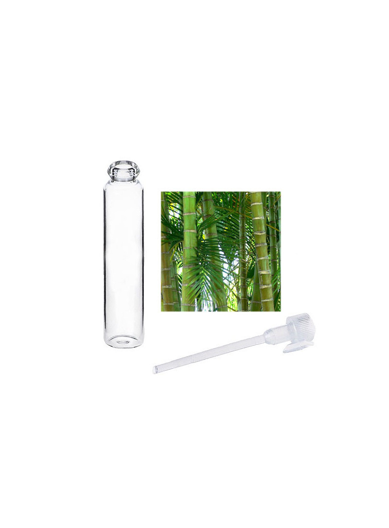 Tester PANGAEA (Bamboo, Green notes)