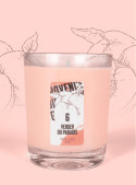 Scented Candle PARADISE GROVE (Peach, Abricot) 150gr