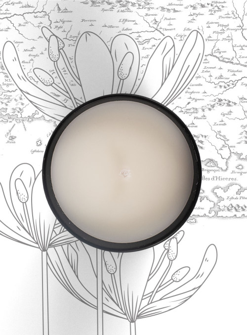 Scented Candle BALI (Honeysuckle, Neroli) 190gr