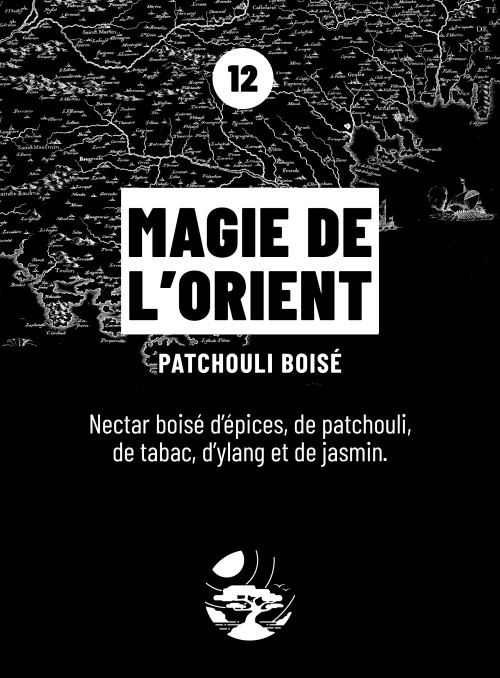 Diffuseur de parfum MAGIE DE L'ORIENT (Boisé Patchouly) 250ml