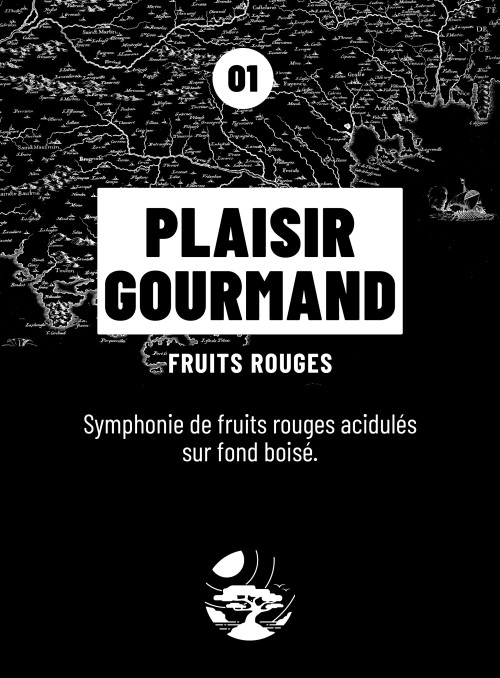 Bougie parfumée PLAISIR GOURMAND (Fruits rouges) 190gr