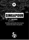 Diffuseur de parfum SINGAPOUR (Orchidée) 250ml
