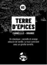 Bougie parfumée TERRE D'EPICES (Orange Cannelle) 190gr