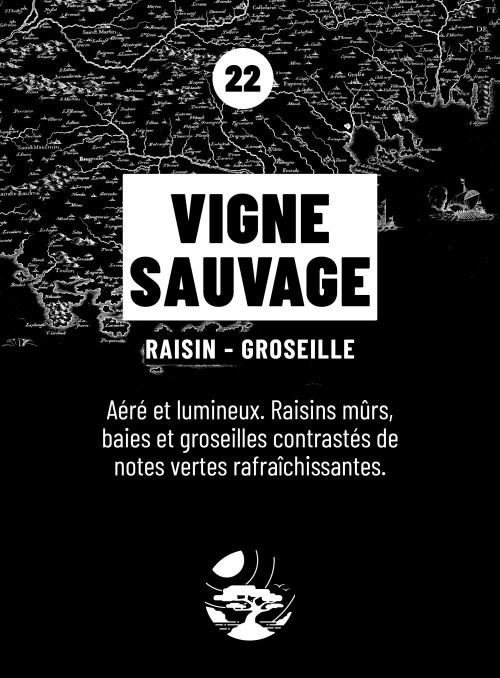 Bougie parfumée VIGNE SAUVAGE (Raisin, Groseille) 190gr